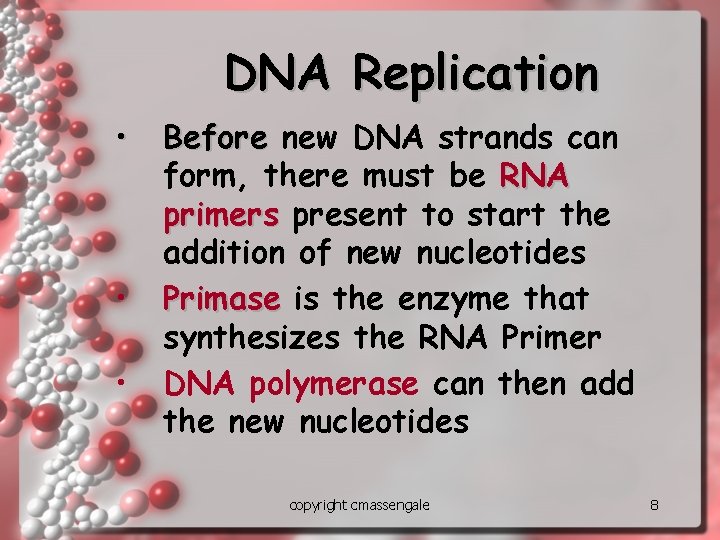 DNA Replication • • • Before new DNA strands can form, there must be