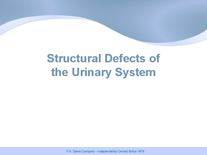 Structural Defects of the Urinary System 