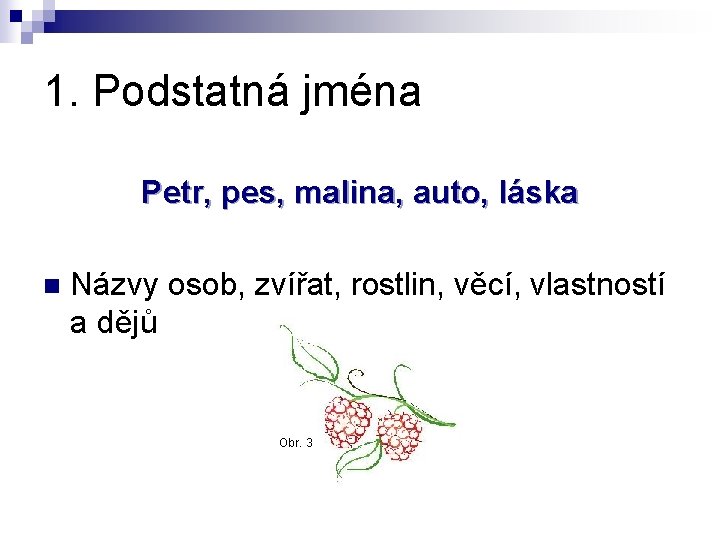 1. Podstatná jména Petr, pes, malina, auto, láska n Názvy osob, zvířat, rostlin, věcí,