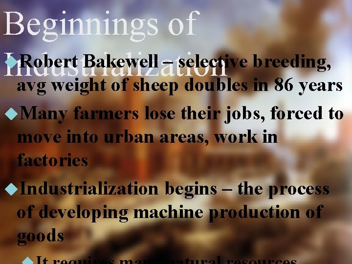 Beginnings of Robert Bakewell – selective breeding, Industrialization avg weight of sheep doubles in