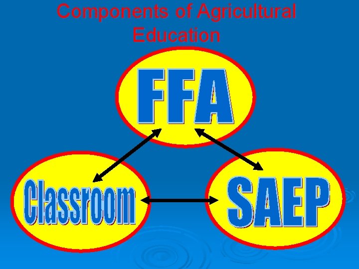 Components of Agricultural Education 