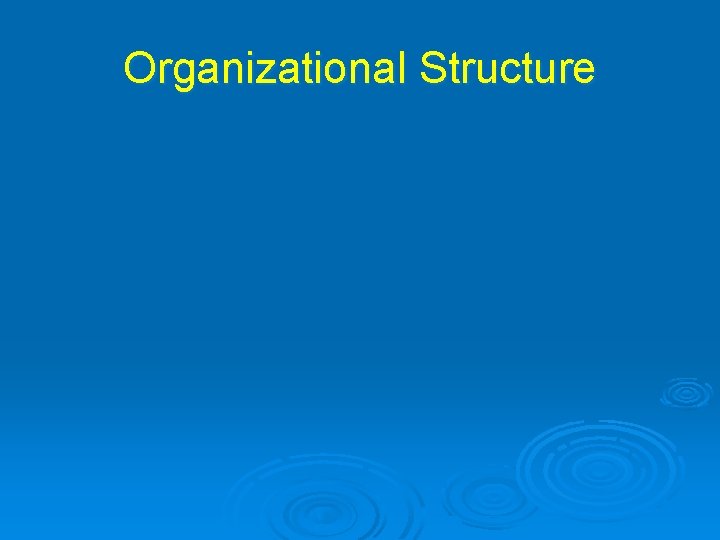 Organizational Structure 