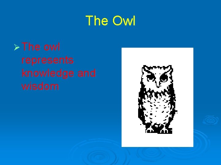 The Owl Ø The owl represents knowledge and wisdom 