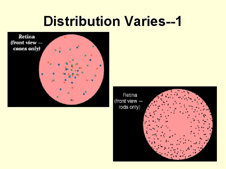 Distribution Varies--1 