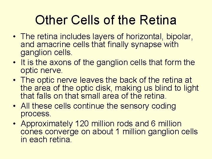 Other Cells of the Retina • The retina includes layers of horizontal, bipolar, and