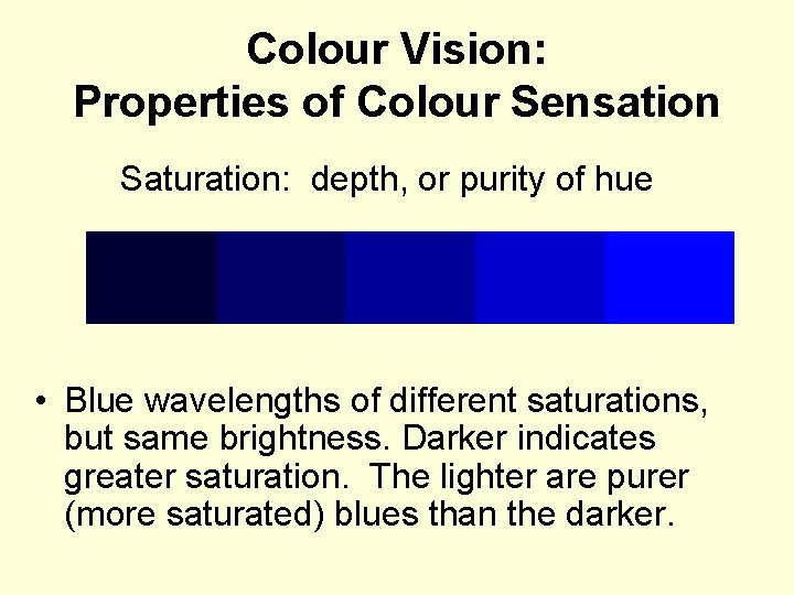 Colour Vision: Properties of Colour Sensation Saturation: depth, or purity of hue • Blue