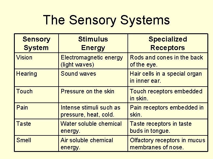 The Sensory Systems Sensory System Stimulus Energy Specialized Receptors Vision Electromagnetic energy (light waves)