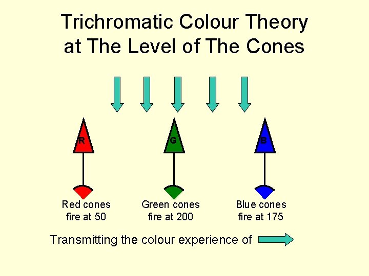 Trichromatic Colour Theory at The Level of The Cones R Red cones fire at