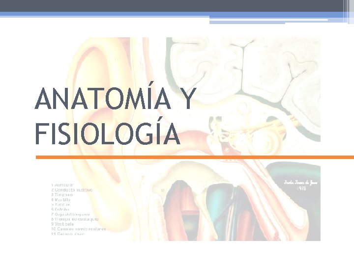 ANATOMÍA Y FISIOLOGÍA 