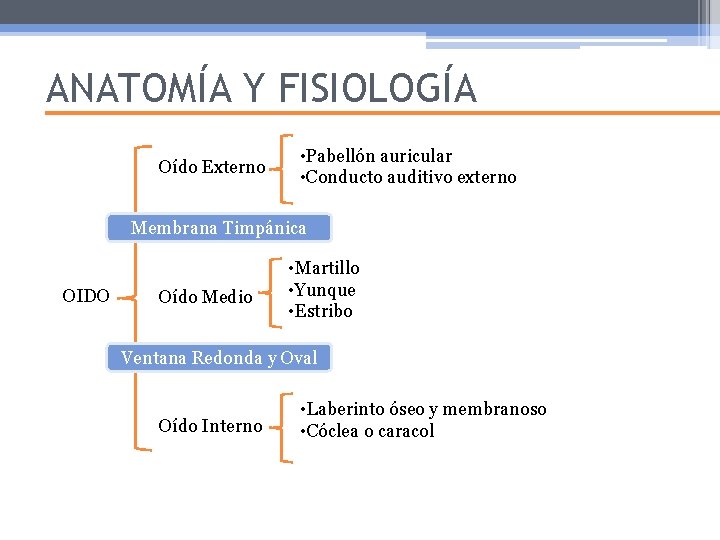 ANATOMÍA Y FISIOLOGÍA Oído Externo • Pabellón auricular • Conducto auditivo externo Membrana Timpánica