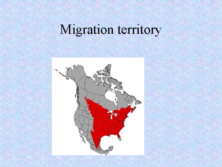 Migration territory 