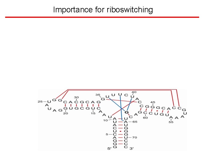Importance for riboswitching 