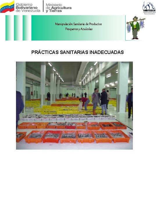 Manipulación Sanitaria de Productos Pesqueros y Acuícolas PRÁCTICAS SANITARIAS INADECUADAS 