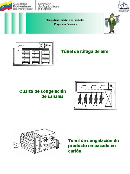 Manipulación Sanitaria de Productos Pesqueros y Acuícolas Túnel de ráfaga de aire Cuarto de