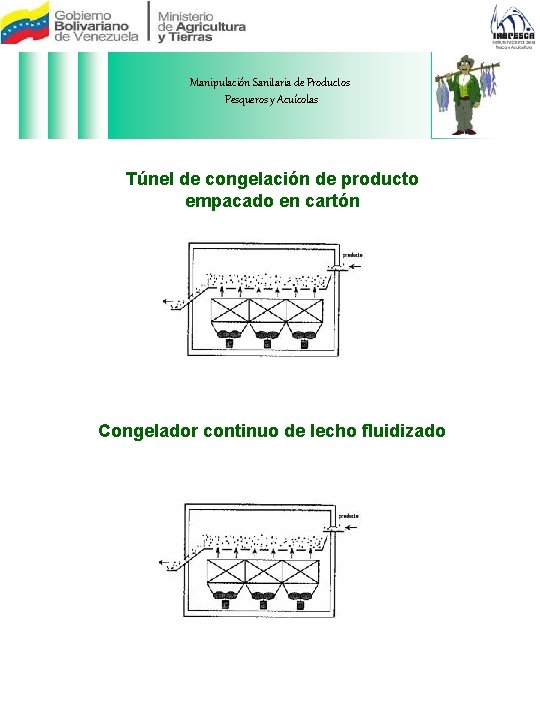 Manipulación Sanitaria de Productos Pesqueros y Acuícolas Túnel de congelación de producto empacado en