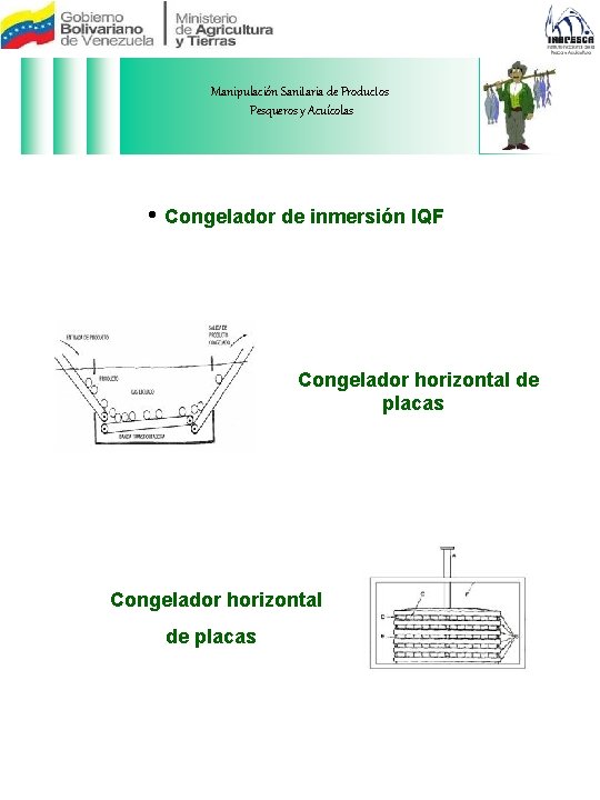 Manipulación Sanitaria de Productos Pesqueros y Acuícolas • Congelador de inmersión IQF Congelador horizontal