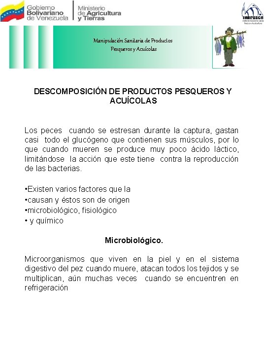 Manipulación Sanitaria de Productos Pesqueros y Acuícolas DESCOMPOSICIÓN DE PRODUCTOS PESQUEROS Y ACUÍCOLAS Los