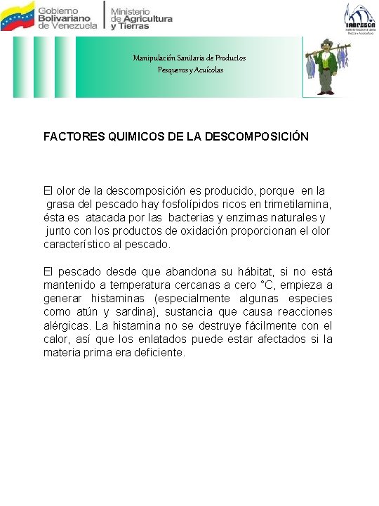 Manipulación Sanitaria de Productos Pesqueros y Acuícolas FACTORES QUIMICOS DE LA DESCOMPOSICIÓN El olor