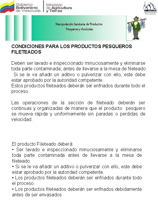 Manipulación Sanitaria de Productos Pesqueros y Acuícolas CONDICIONES PARA LOS PRODUCTOS PESQUEROS FILETEADOS Deben