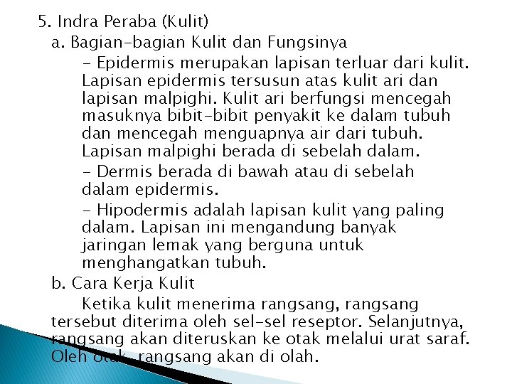 5. Indra Peraba (Kulit) a. Bagian-bagian Kulit dan Fungsinya - Epidermis merupakan lapisan terluar