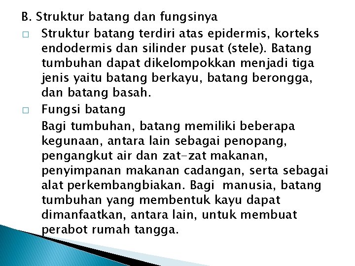 B. Struktur batang dan fungsinya � Struktur batang terdiri atas epidermis, korteks endodermis dan