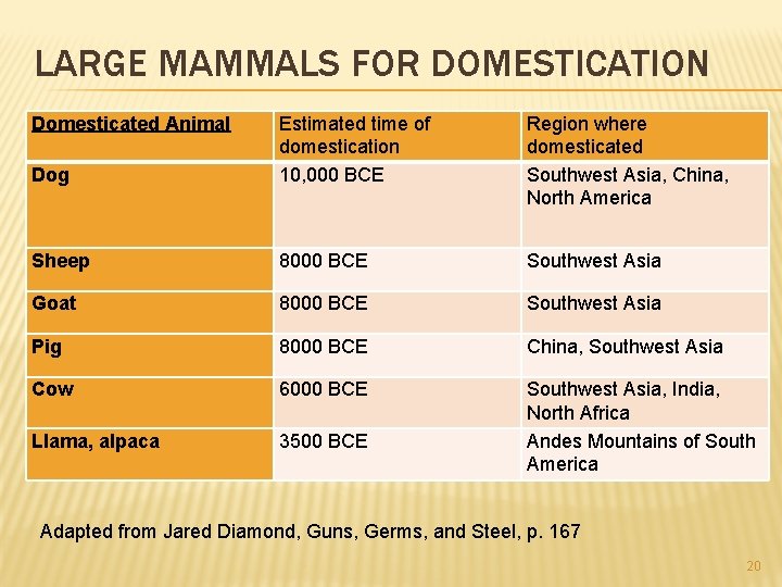 LARGE MAMMALS FOR DOMESTICATION Domesticated Animal Dog Estimated time of domestication 10, 000 BCE