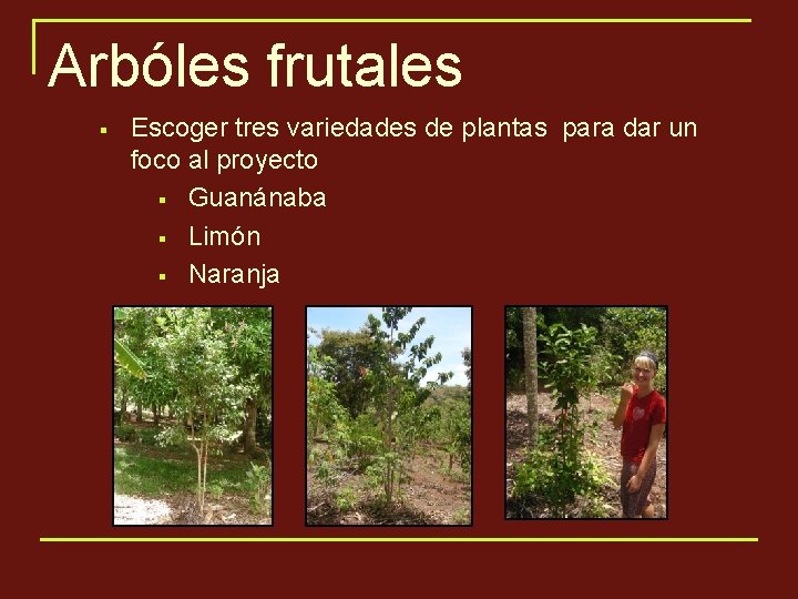 Arbóles frutales § Escoger tres variedades de plantas para dar un foco al proyecto