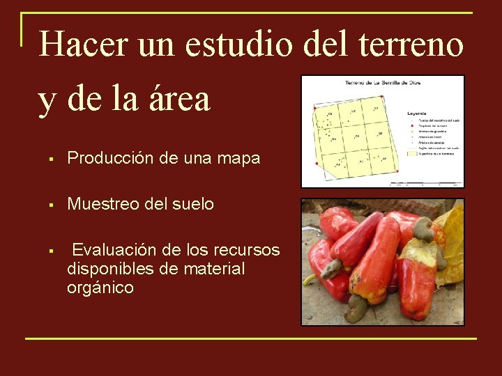 Hacer un estudio del terreno y de la área § Producción de una mapa