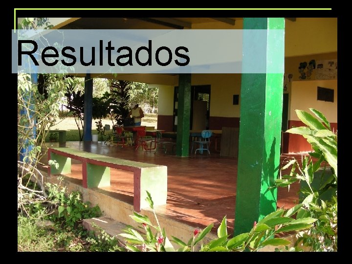 Resultados 