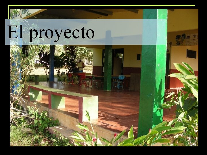 El proyecto 