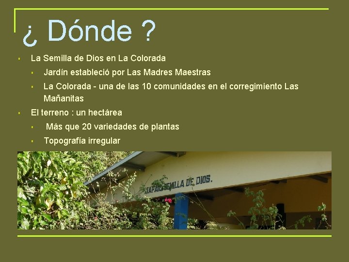 ¿ Dónde ? § § La Semilla de Dios en La Colorada § Jardín