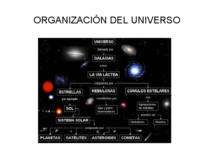 ORGANIZACIÓN DEL UNIVERSO 