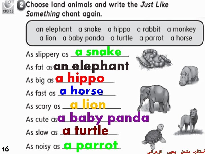 a snake an elephant a hippo a horse 16 a lion a baby panda