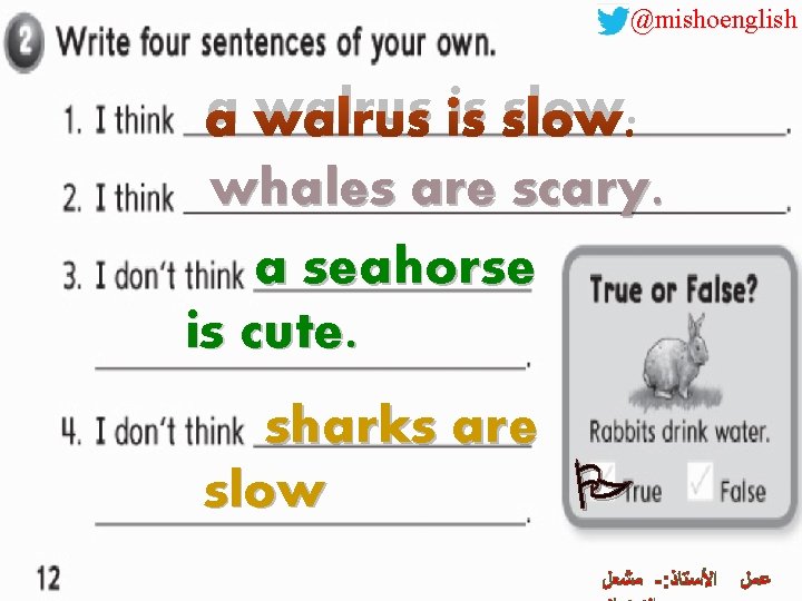@mishoenglish a walrus is slow. whales are scary. a seahorse is cute. sharks are
