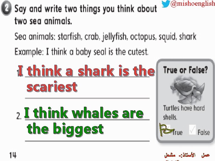 @mishoenglish I think a shark is the scariest I think whales are the biggest