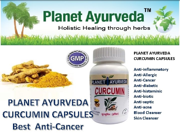 PLANET AYURVEDA CURCUMIN CAPSULES Best Anti-Cancer Anti-inflammatory Anti-Allergic Anti-Cancer Anti-diabetic Anti-histaminic Anti-biotic Anti-septic Anti-acne