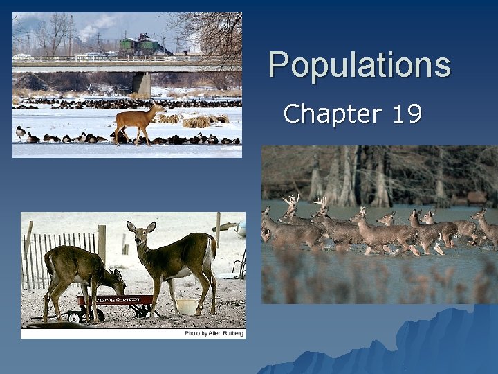 Populations Chapter 19 