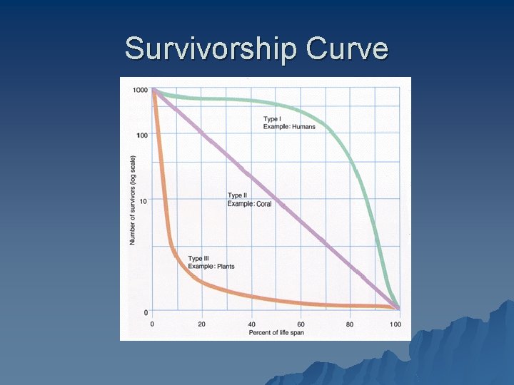 Survivorship Curve 