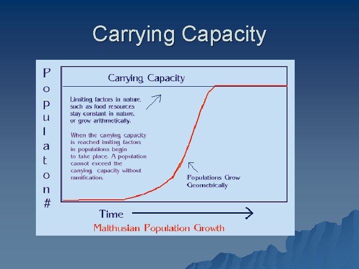 Carrying Capacity 