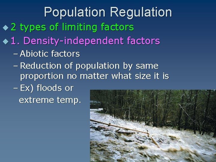 Population Regulation u 2 types of limiting factors u 1. Density-independent factors – Abiotic