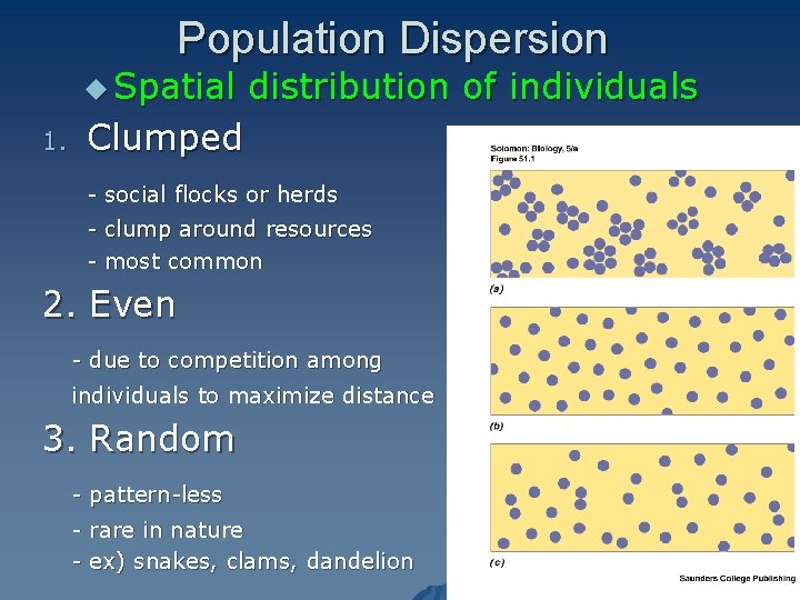 Population Dispersion u Spatial 1. distribution of individuals Clumped - social flocks or herds