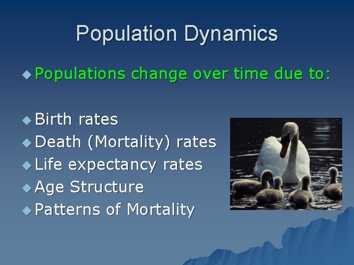 Population Dynamics u Populations u Birth change over time due to: rates u Death