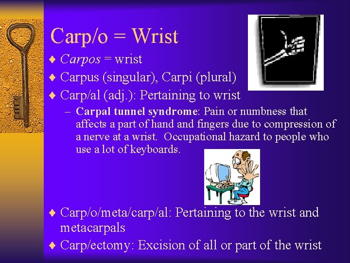 Carp/o = Wrist ¨ Carpos = wrist ¨ Carpus (singular), Carpi (plural) ¨ Carp/al