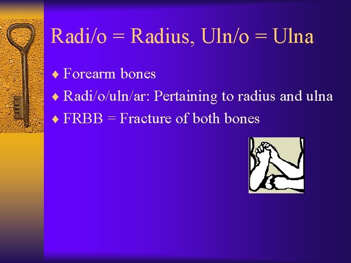 Radi/o = Radius, Uln/o = Ulna ¨ Forearm bones ¨ Radi/o/uln/ar: Pertaining to radius