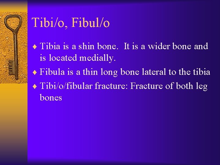 Tibi/o, Fibul/o ¨ Tibia is a shin bone. It is a wider bone and