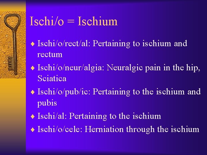 Ischi/o = Ischium ¨ Ischi/o/rect/al: Pertaining to ischium and rectum ¨ Ischi/o/neur/algia: Neuralgic pain