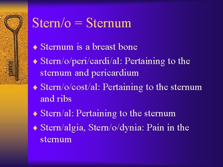 Stern/o = Sternum ¨ Sternum is a breast bone ¨ Stern/o/peri/cardi/al: Pertaining to the