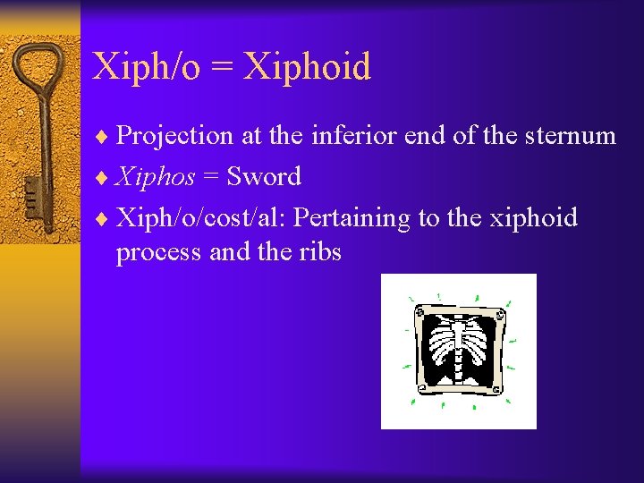 Xiph/o = Xiphoid ¨ Projection at the inferior end of the sternum ¨ Xiphos
