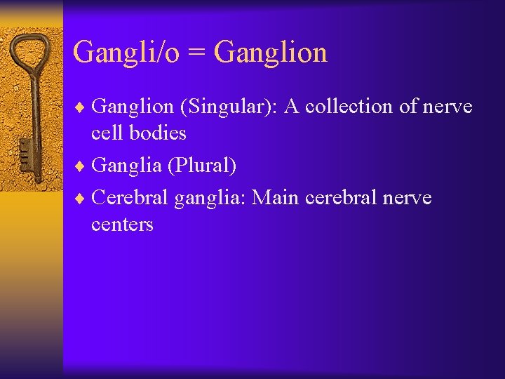 Gangli/o = Ganglion ¨ Ganglion (Singular): A collection of nerve cell bodies ¨ Ganglia