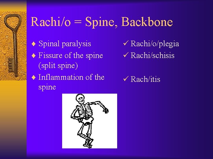 Rachi/o = Spine, Backbone ¨ Spinal paralysis ü Rachi/o/plegia ¨ Fissure of the spine